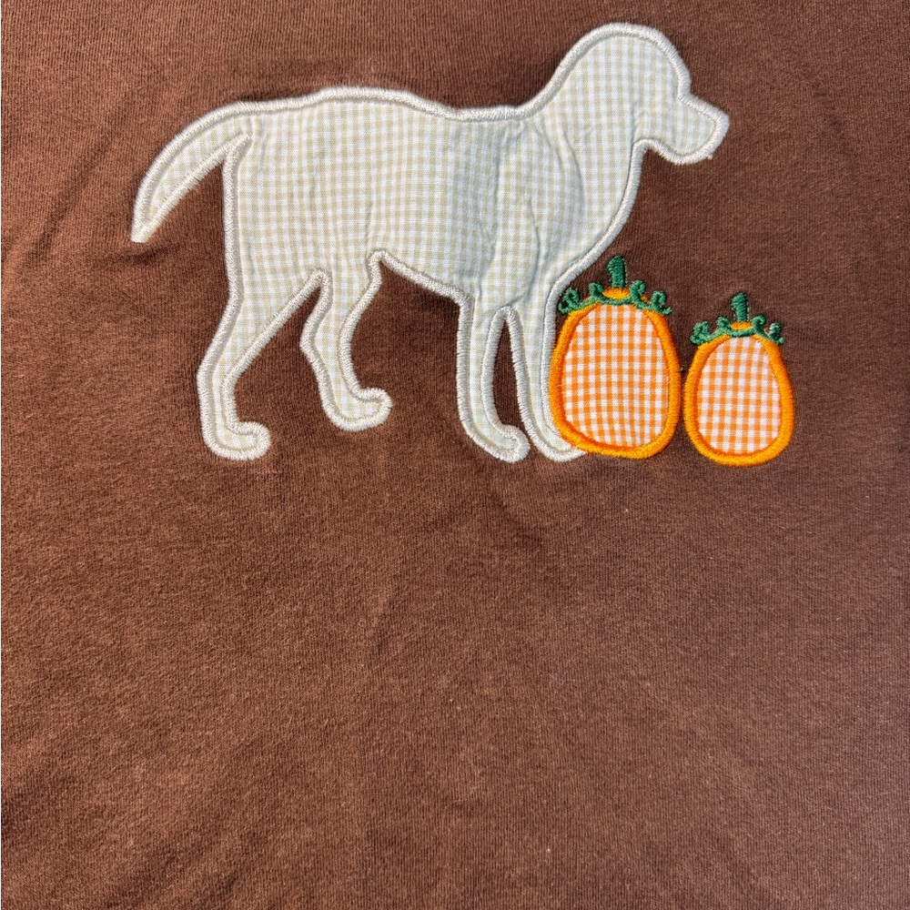 Boys Size 2 pumpkins & puppy fall thanksgiving long sleeve shirt